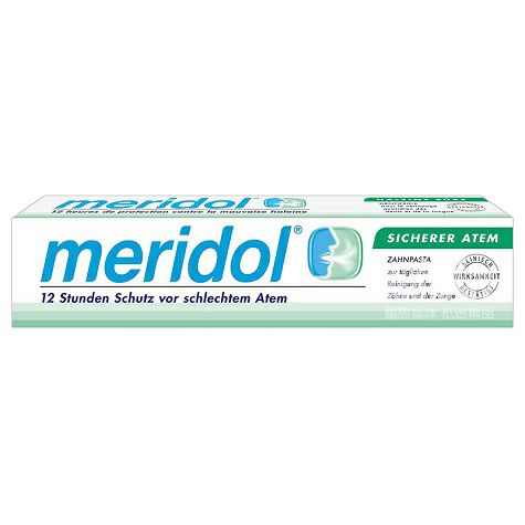Meridol 독일항균강력한항호흡치약 * 2 해외버전