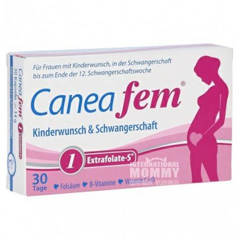 Caneafem 독일임신지원임신종합비타민엽산캡슐 1 해외버전